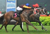 Jockey Joao Moreira guides Grand Arrival to a nose win from Davide.<br>Photo by Singapore Turf Club